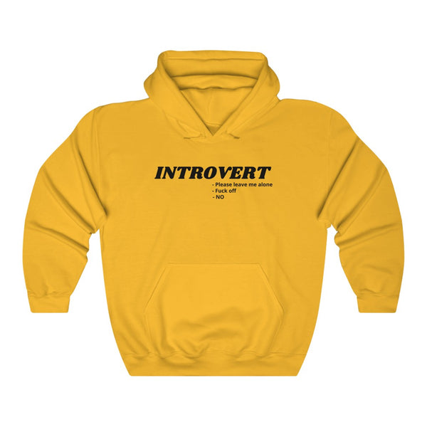 Introvert - Unisex Heavy Blend™ Hooded Sweatshirt